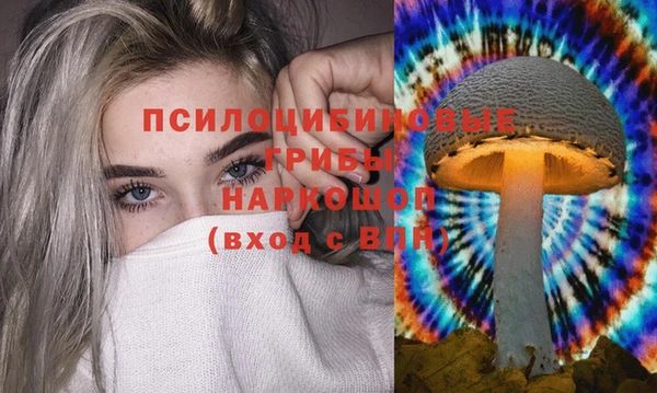 соль курить ск Аркадак