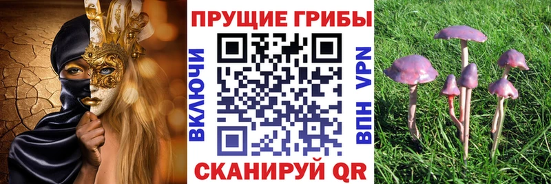 Псилоцибиновые грибы Magic Shrooms  Покров 